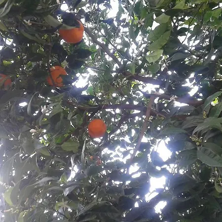 Camera Arancione * Rom